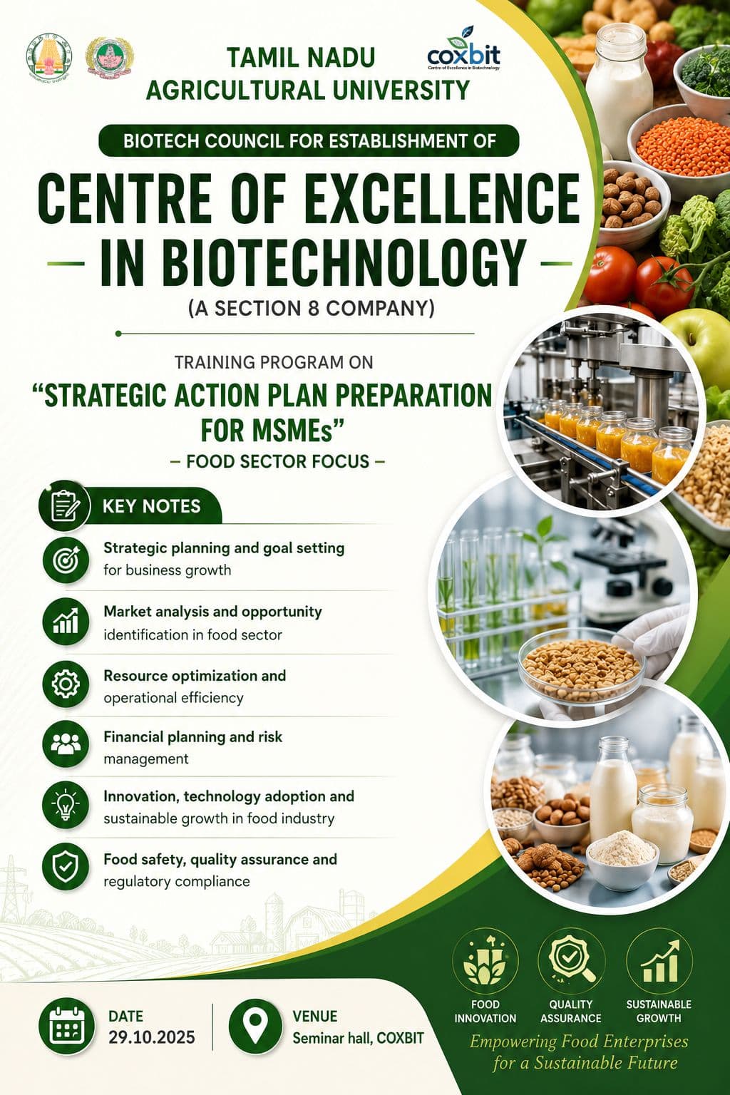 Strategic Action Plan Preparation for MSMEs
